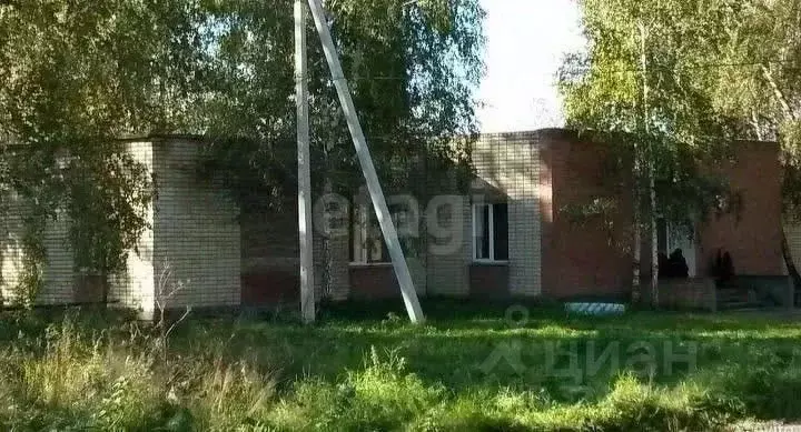 Помещение свободного назначения в Новосибирская область, Ордынский ... - Фото 1