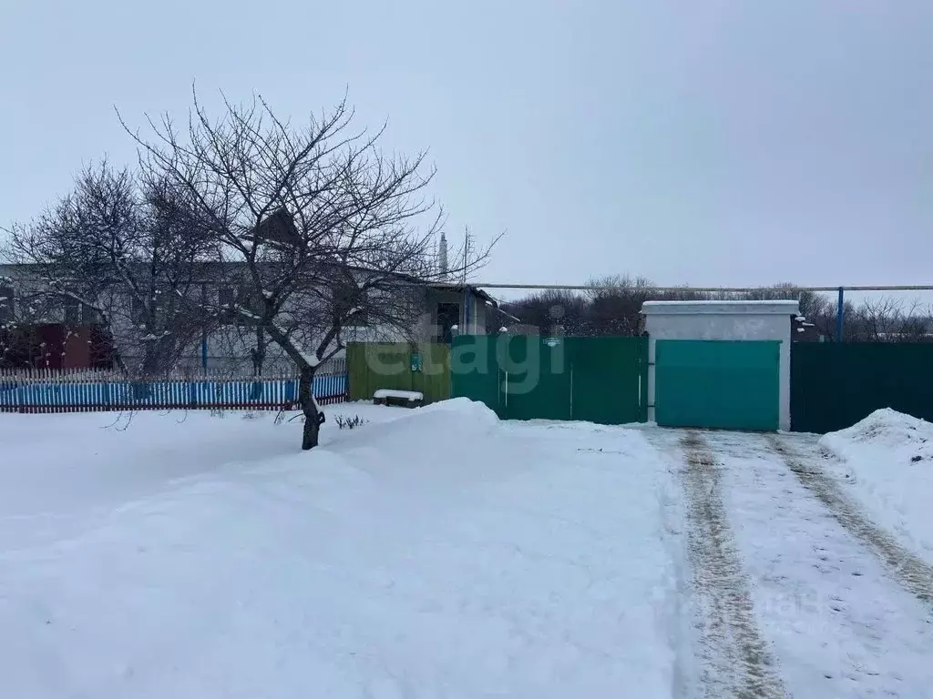 Дом в Белгородская область, Корочанский район, Жигайловское с/пос, с. ... - Фото 1