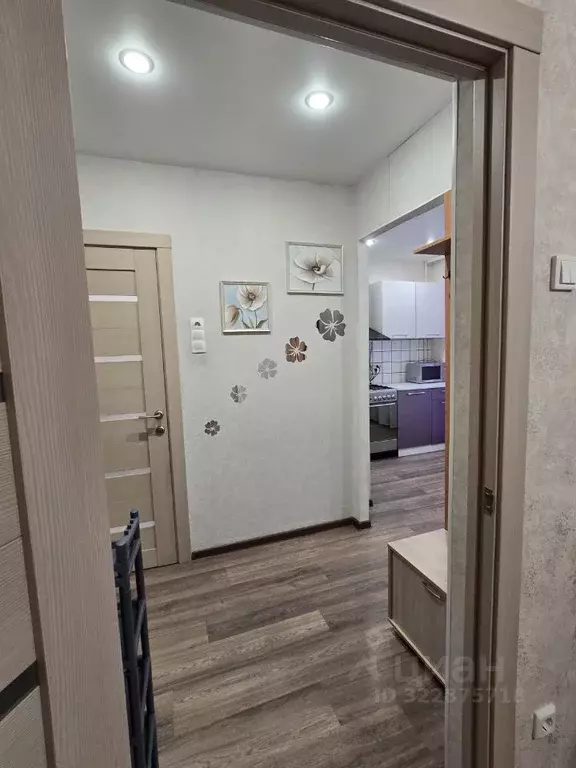 1-к кв. Коми, Сыктывкар ул. Мира, 37 (31.0 м) - Фото 2