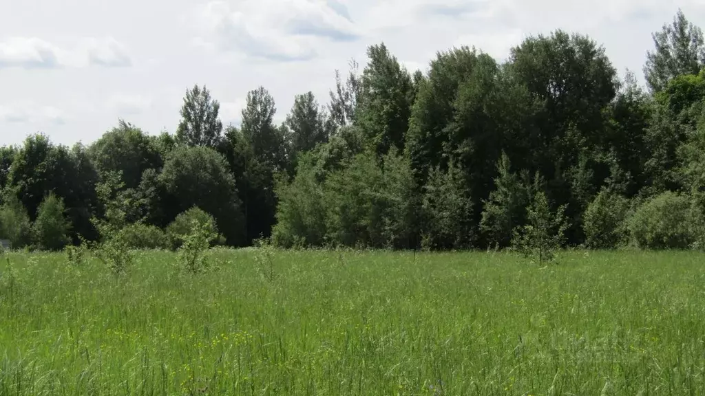 Участок в Московская область, Рузский муниципальный округ, с. ... - Фото 2