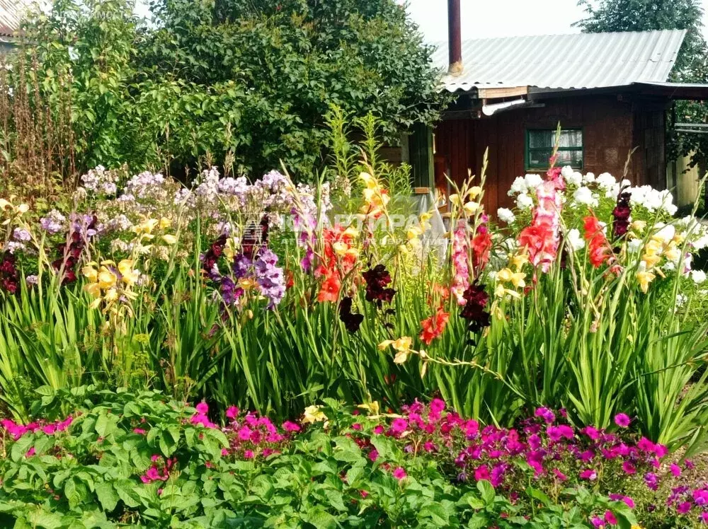 Участок в Свердловская область, Невьянский муниципальный округ, СТ ... - Фото 1