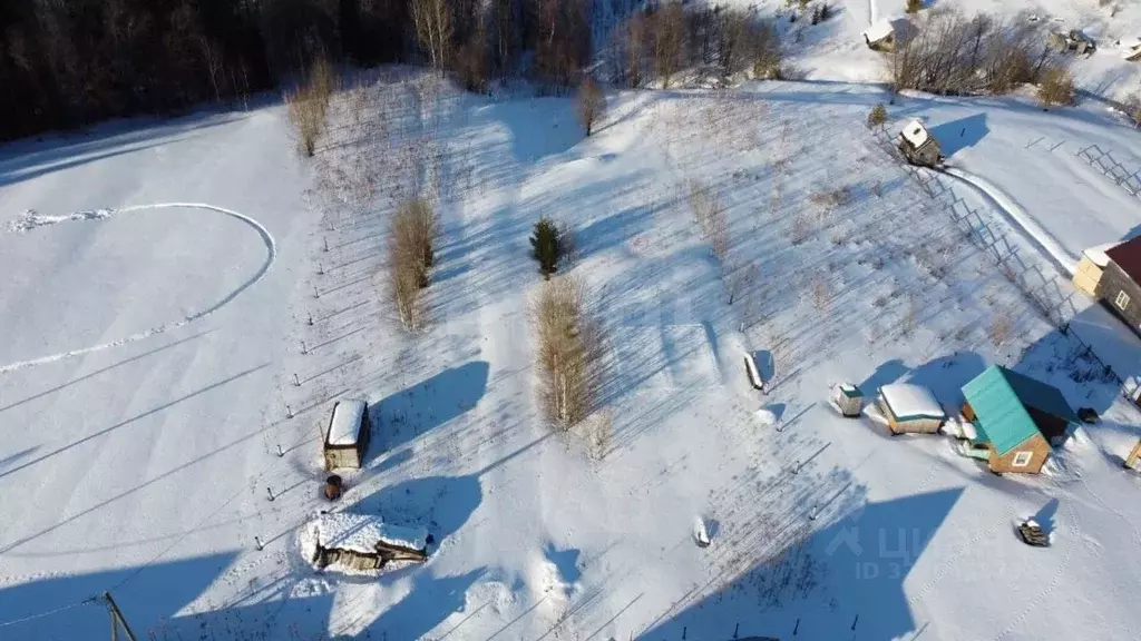 Участок в Коми, Сыктывдинский район, Зеленец муниципальное ... - Фото 1