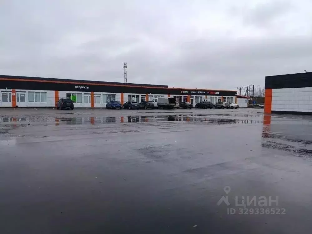Помещение свободного назначения в Московская область, Домодедово ... - Фото 2