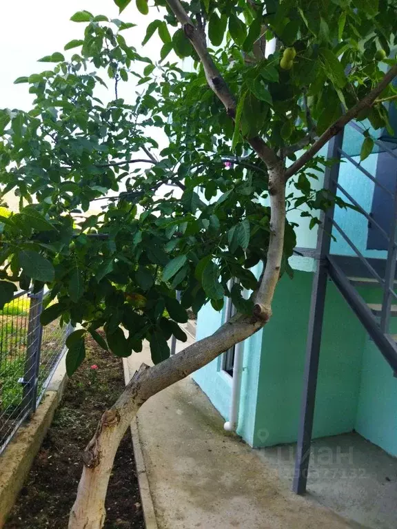 Дом в Крым, Феодосия муниципальный округ, Орджоникидзе пгт, Труд-1 ... - Фото 2