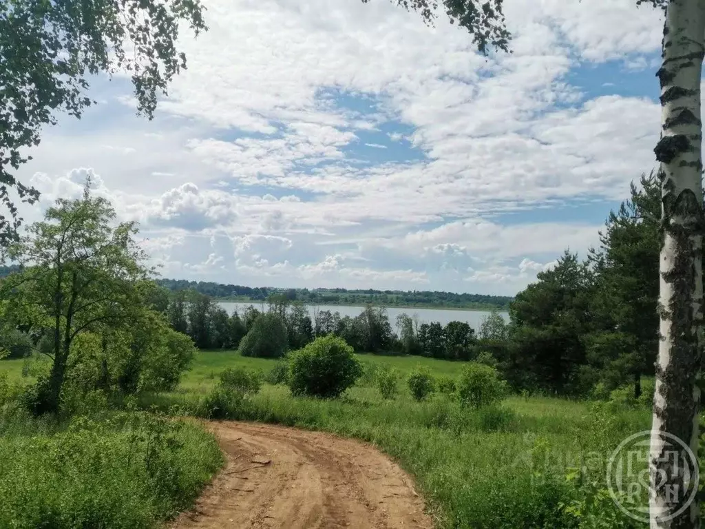 Дом в Ленинградская область, Лужский район, Скребловское с/пос, д. ... - Фото 0