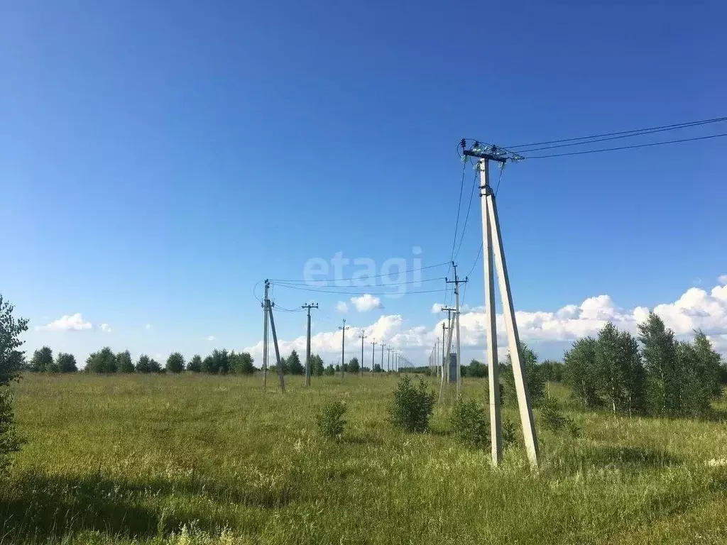 Участок в Кемеровская область, Кемеровский муниципальный округ, с. ... - Фото 1