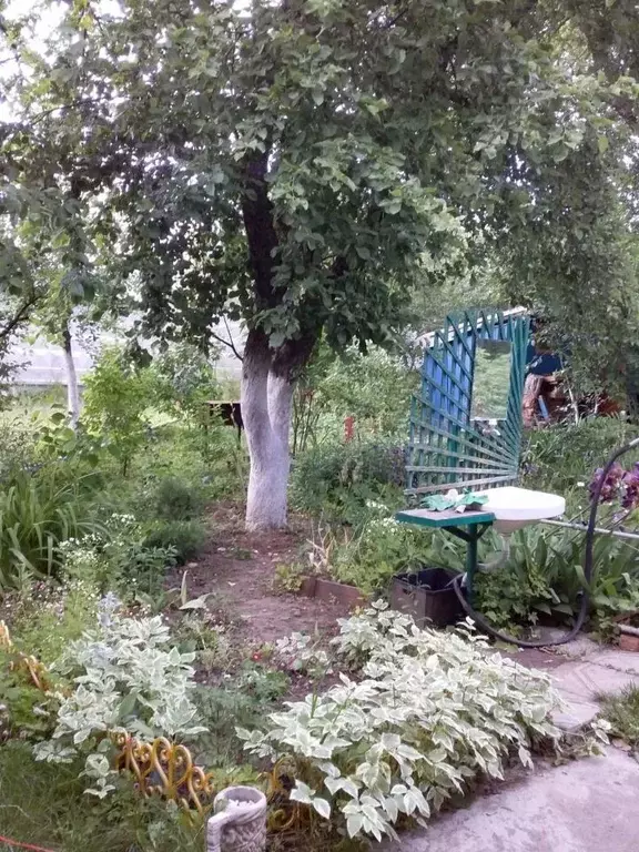 Участок в Московская область, Серпухов Серпейка СНТ, 11 (5.0 сот.) - Фото 2