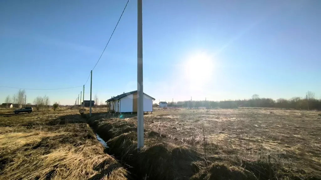 Участок в Костромская область, Кострома Соколиное Гнездо кп, 1 (8.28 ... - Фото 2