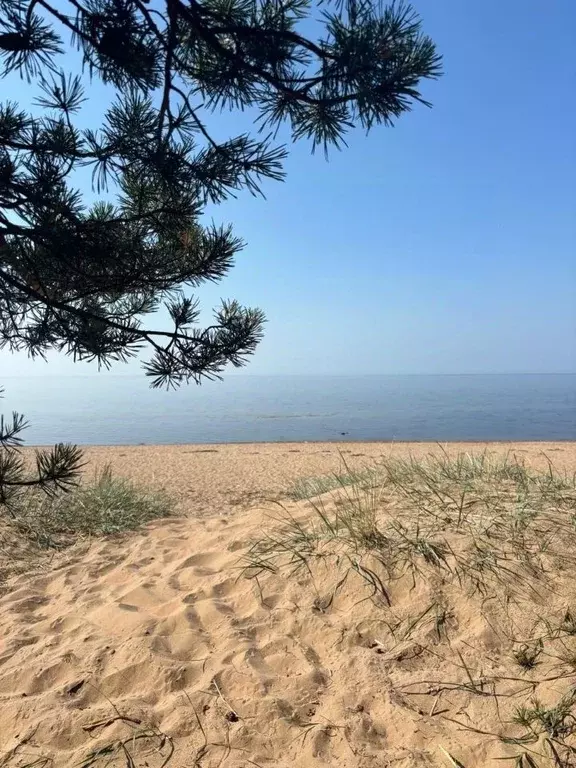 Участок в Санкт-Петербург, Санкт-Петербург, Зеленогорск Приморское ш., ... - Фото 1