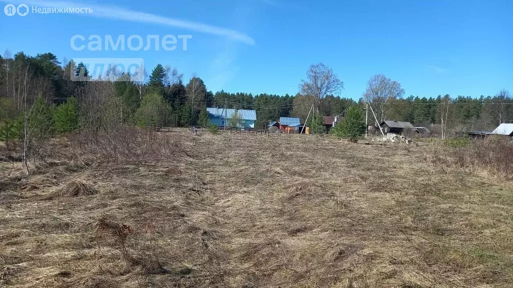 Участок в Вологодская область, Бабаево (19 м) - Фото 0