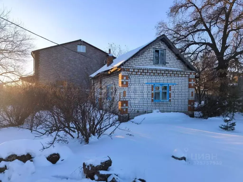 Участок в Амурская область, Благовещенск Гусарское тер., 9 (9.8 сот.) - Фото 2