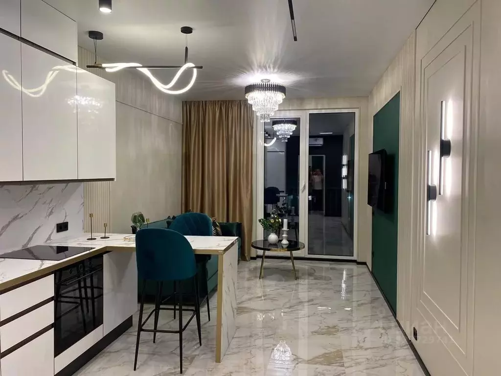 1-к кв. Краснодарский край, Сочи городской округ, Дагомыс пгт ул. ... - Фото 2