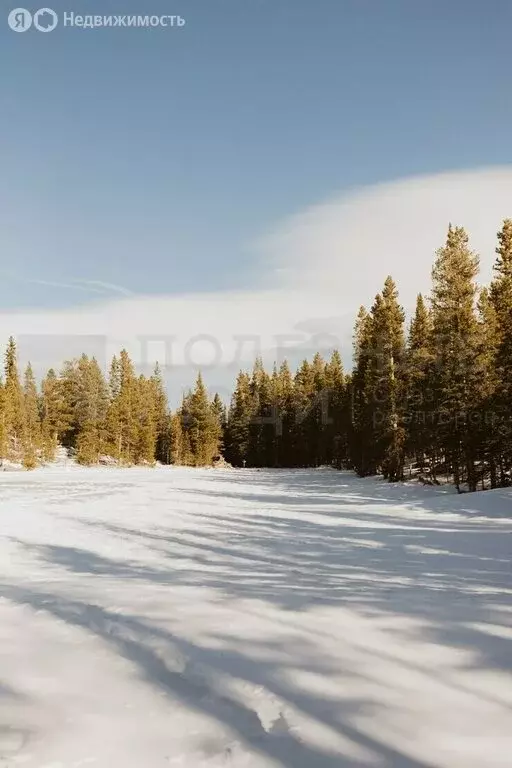 Участок в Сушанское сельское поселение, деревня Коремера (309 м) - Фото 0