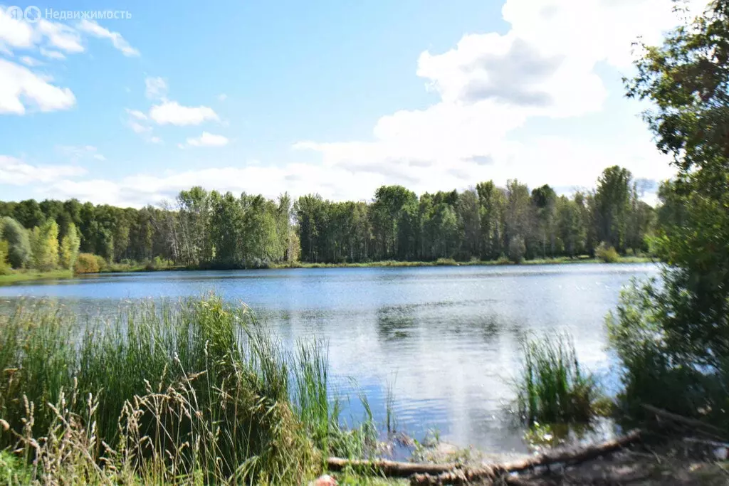 Участок в Туймазы, Лесопарковая улица (10 м) - Фото 1