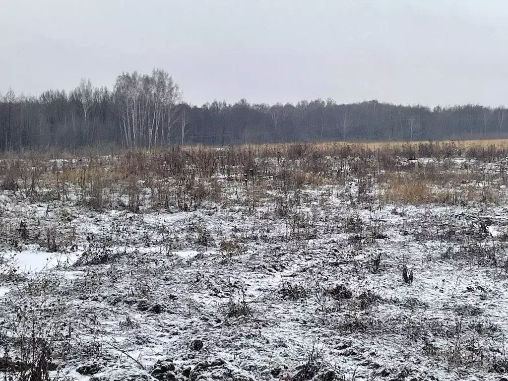 Move Ru Квартиры Купить