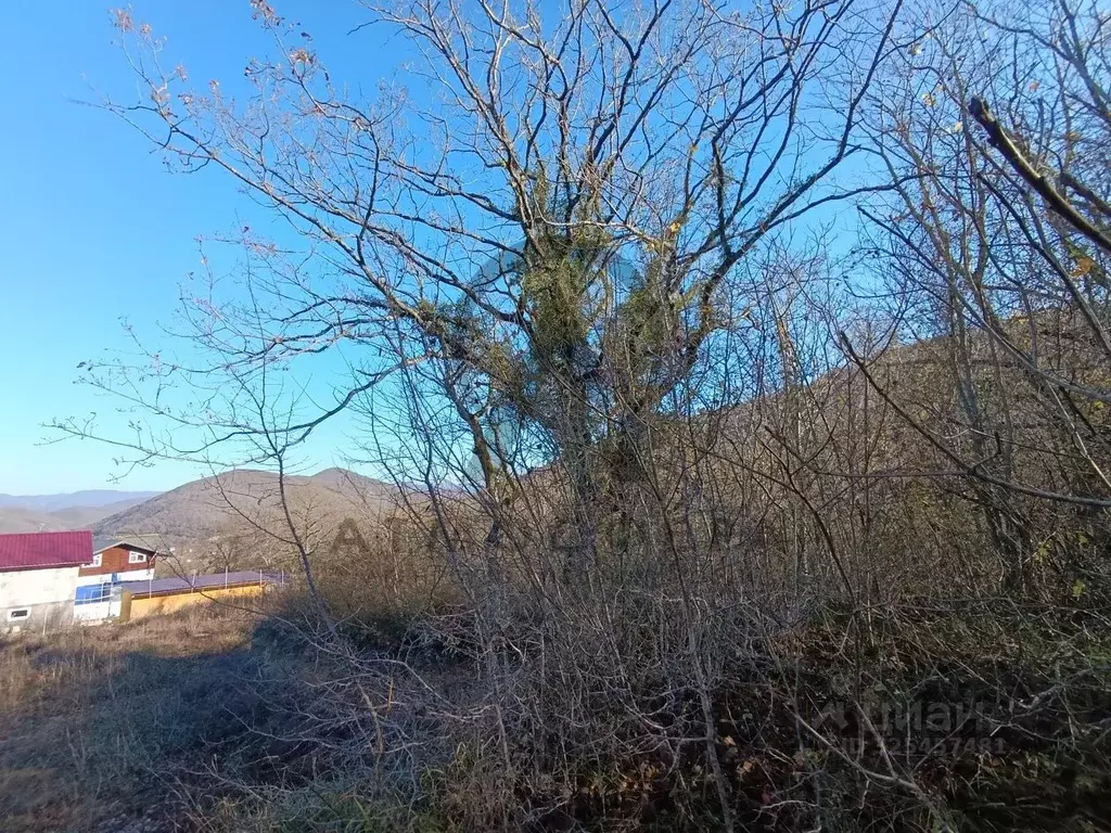 Участок в Краснодарский край, Туапсинский муниципальный округ, ... - Фото 2