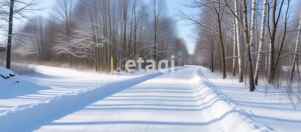 Участок в Владимирская область, Петушки ул. Ямская (20.0 сот.) - Фото 2