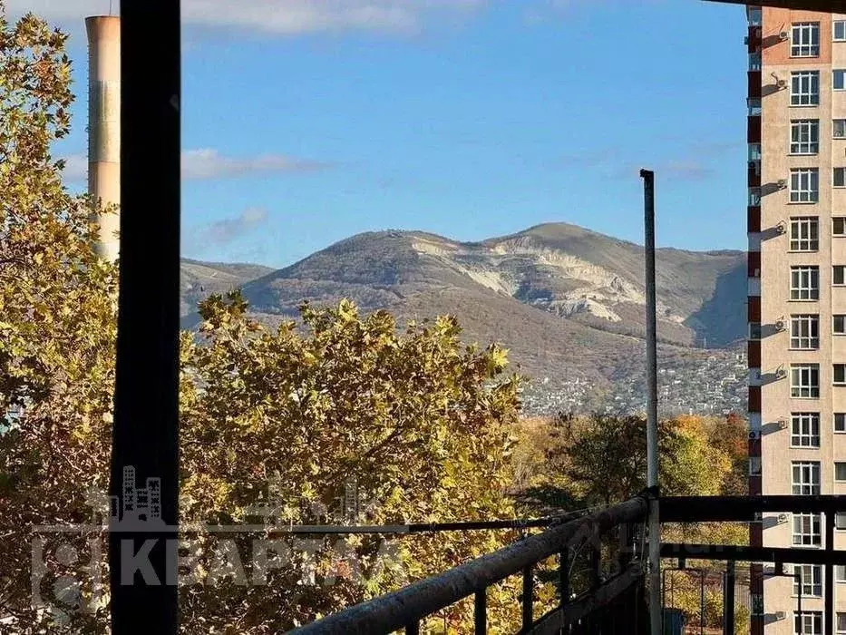 Комната Краснодарский край, Новороссийск ул. Видова, 123 (8.0 м) - Фото 2