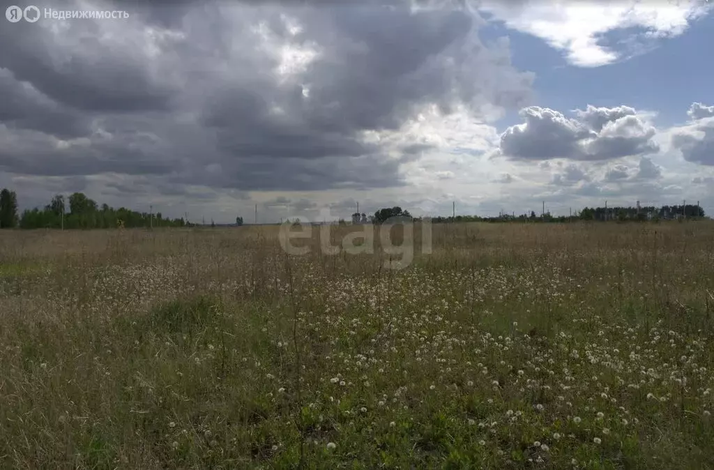 Участок в Поспеловское сельское поселение, посёлок Луговой (10 м) - Фото 2