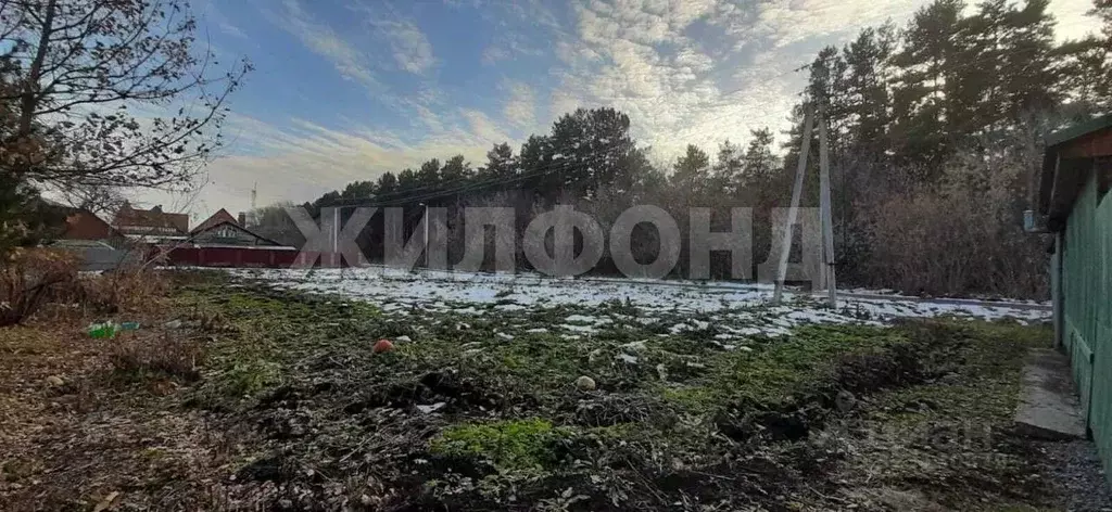 Участок в Новосибирская область, Черепановский район, пос. Пушной ул. ... - Фото 1