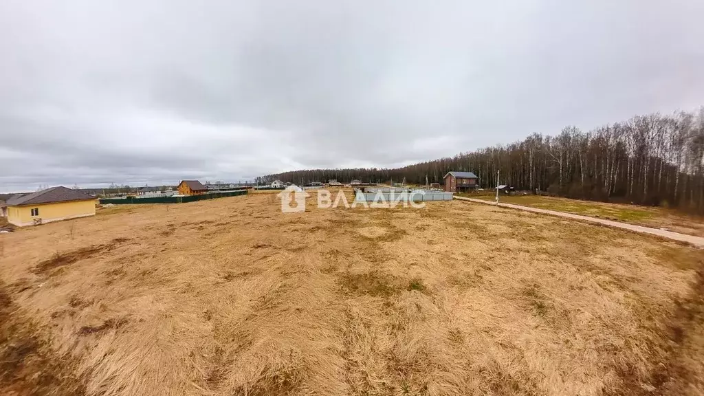 Участок в Владимирская область, Собинский муниципальный округ, с. ... - Фото 2