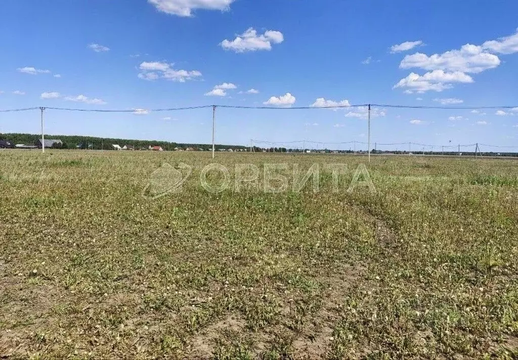 Участок в Тюменская область, Заводоуковск Южный мкр,  (9.56 сот.) - Фото 2
