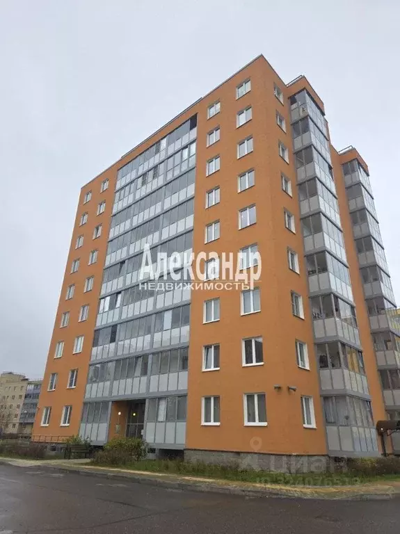 Студия Ленинградская область, Коммунар г. Гатчинский муниципальный ... - Фото 1