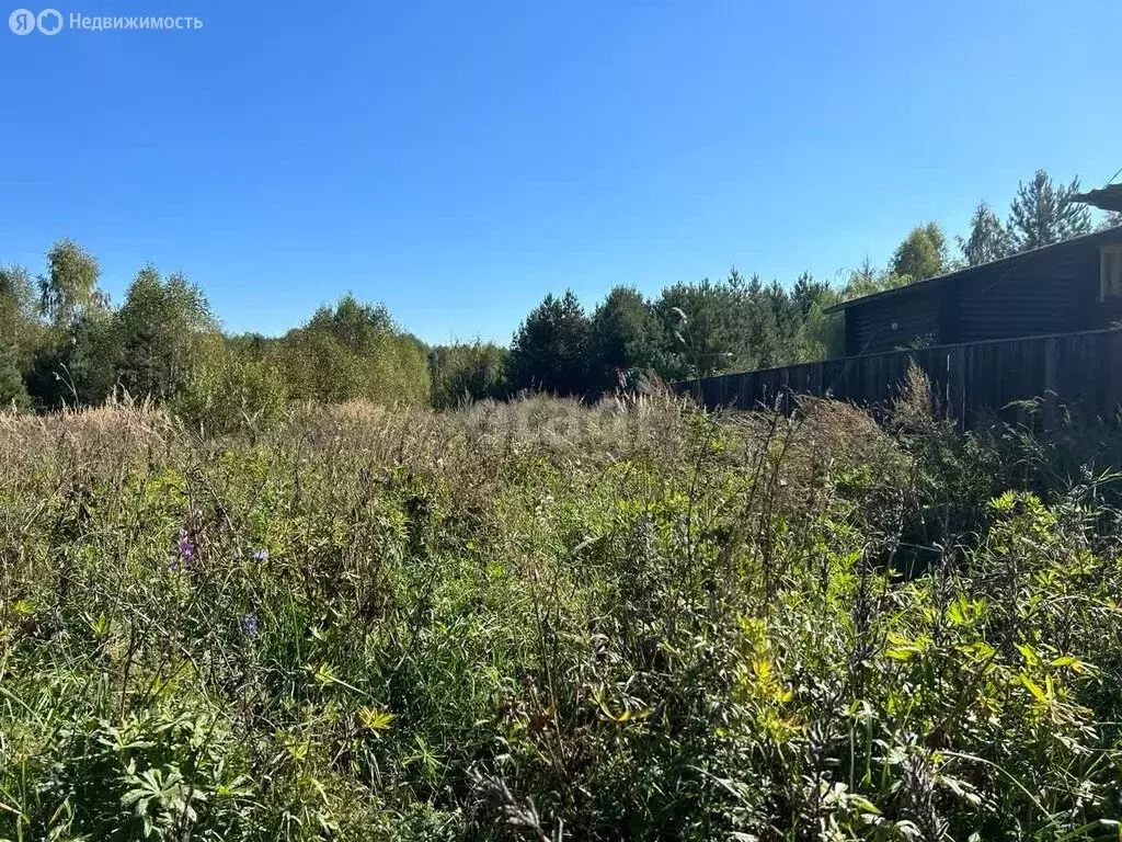 Участок в муниципальное образование Новосельское, село Марьино (24.5 ... - Фото 1