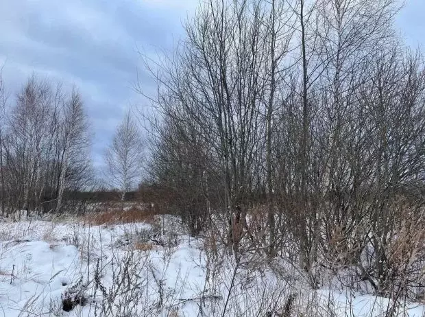 Участок в Московская область, Серпухов городской округ, пос. Большевик ... - Фото 0