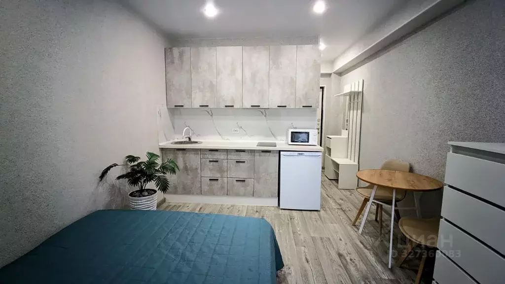 Студия Краснодарский край, Сочи городской округ, Дагомыс пгт ул. ... - Фото 1