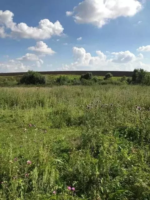Участок в Тульская область, Тепло-Огаревский район, Волчье-Дубравское ... - Фото 1