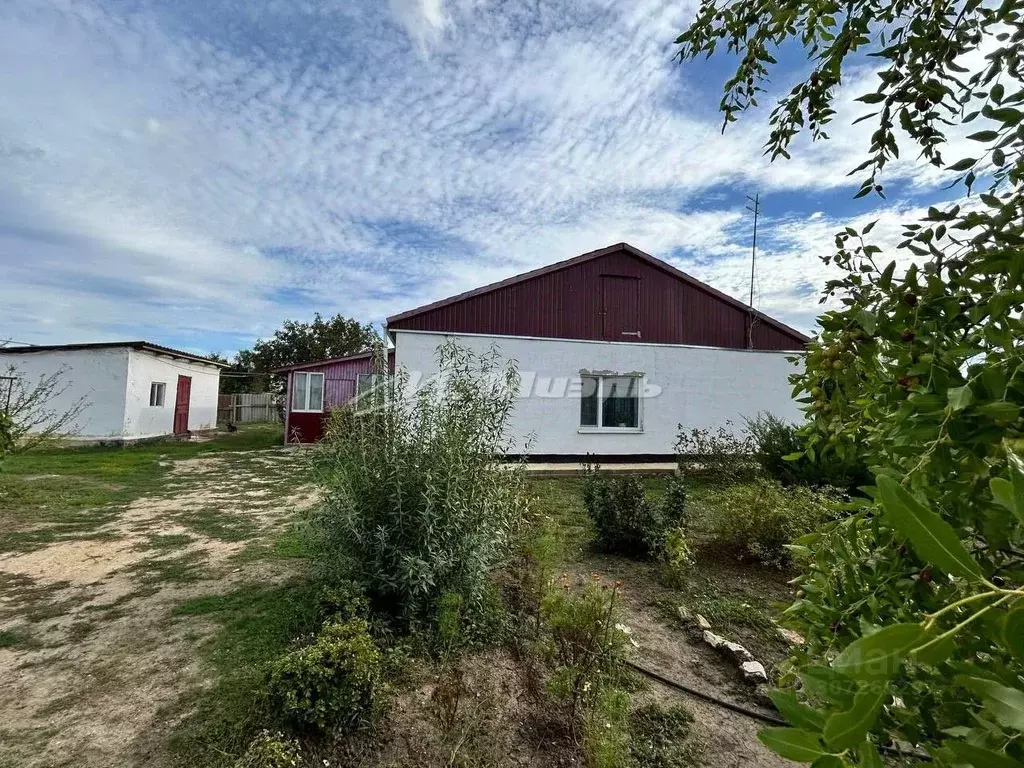 Дом в Крым, Раздольненский район, Ковыльновское с/пос, с. Сенокосное ... - Фото 1