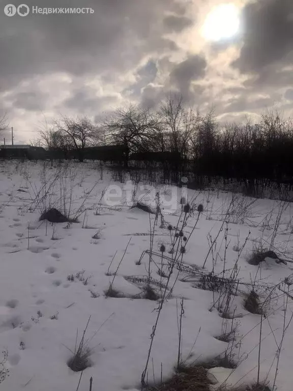 Участок в село Таврово, Суздальская улица (8 м) - Фото 1