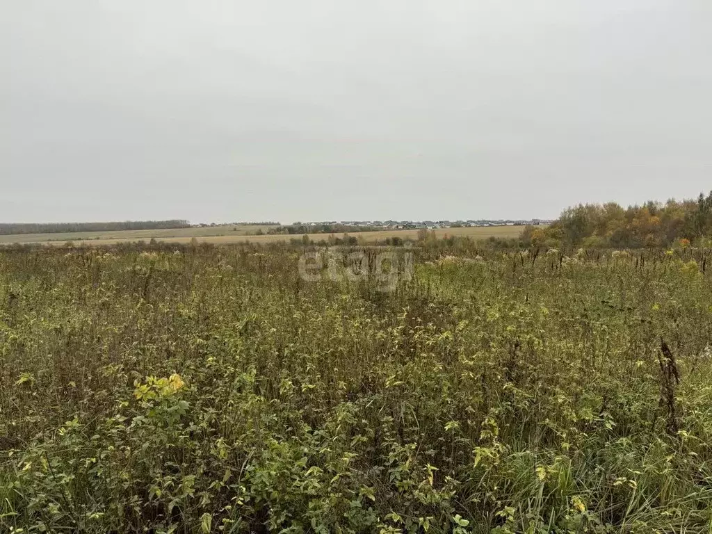 Участок в Нижегородская область, Богородский муниципальный округ, д. ... - Фото 1