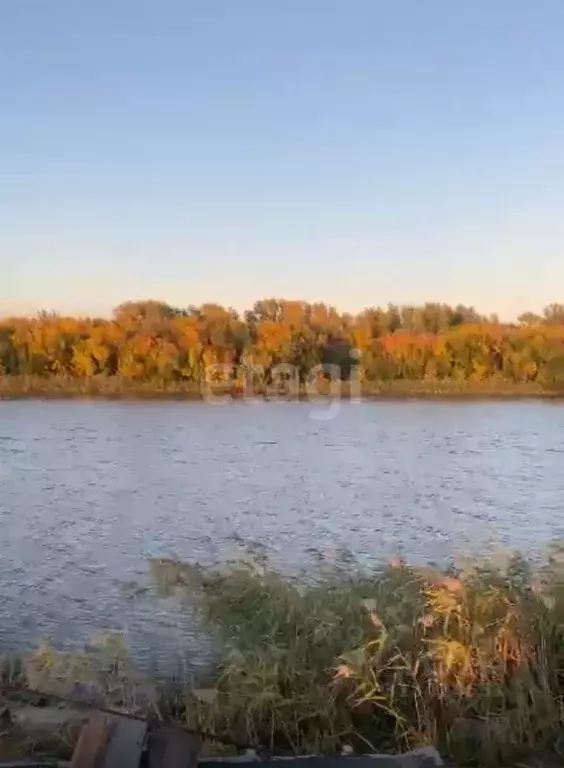 Участок в Астраханская область, Володарский район, с. Новокрасное  ... - Фото 0