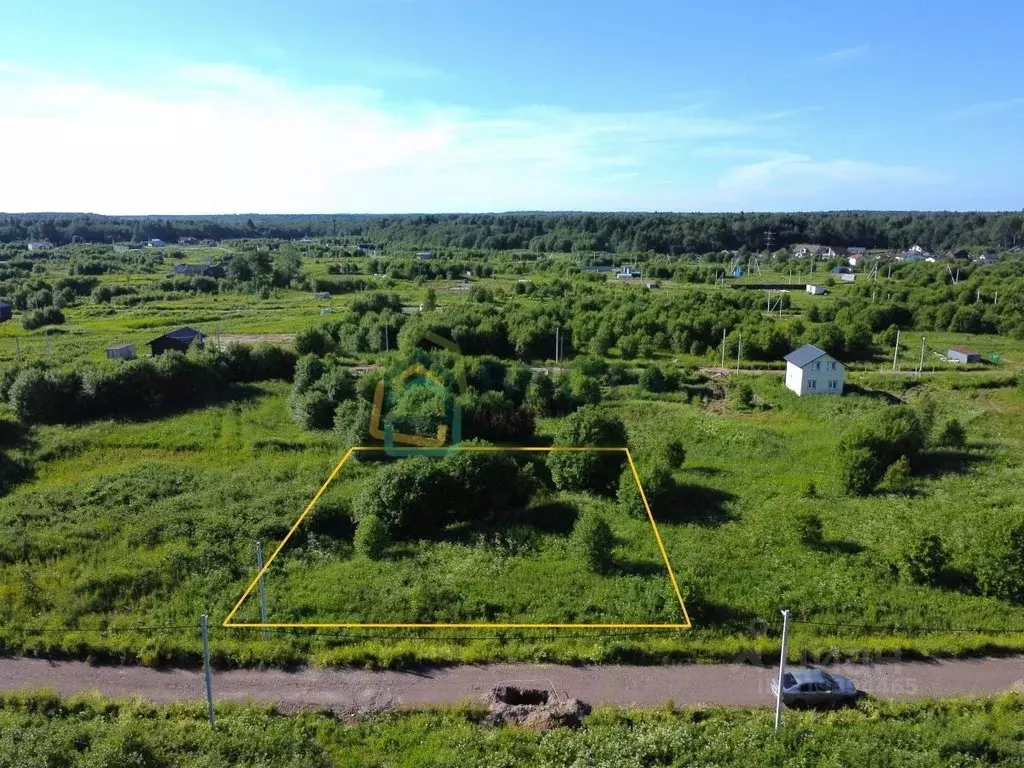 Участок в Ленинградская область, Ломоносовский район, Гостилицкое ... - Фото 1