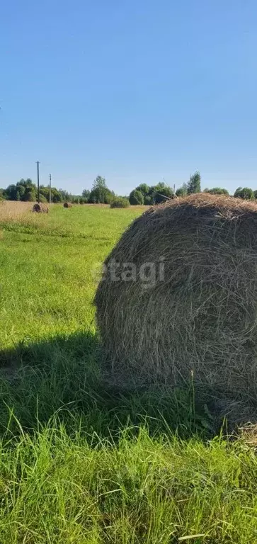 Дом в Псковская область, Печорский муниципальный округ, д. Володино  ... - Фото 0