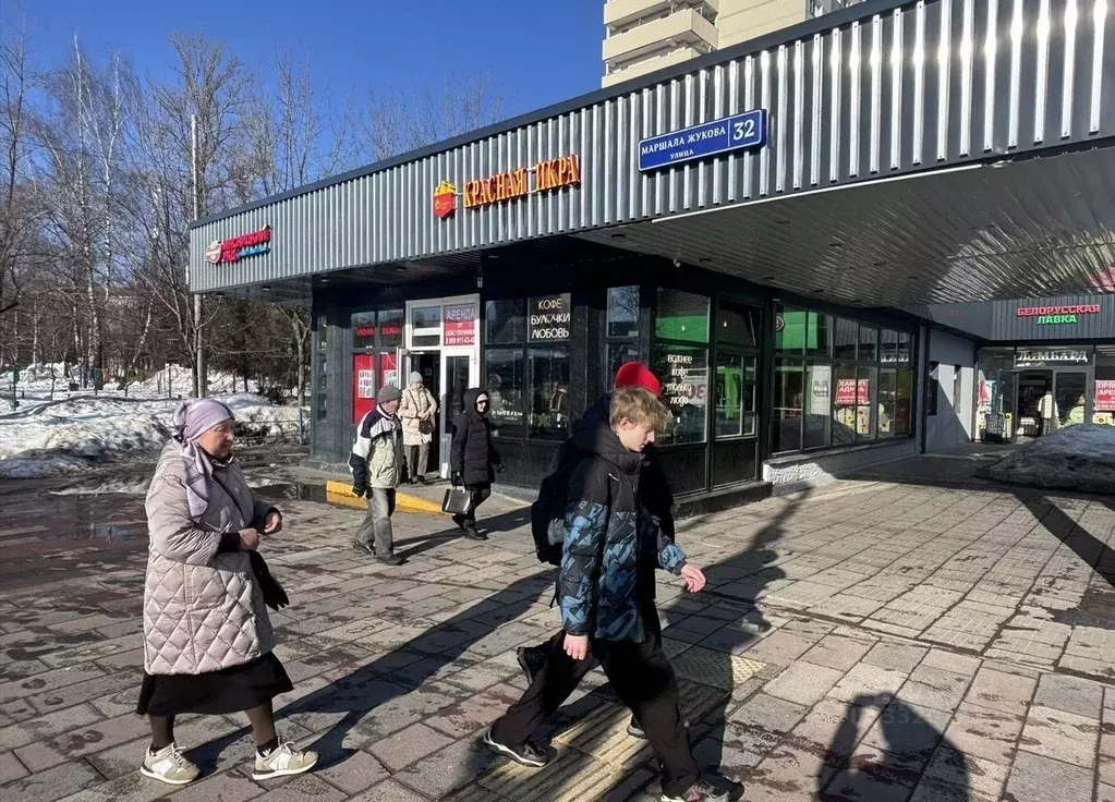 Торговая площадь в Московская область, Одинцово ул. Маршала Жукова, ... - Фото 1