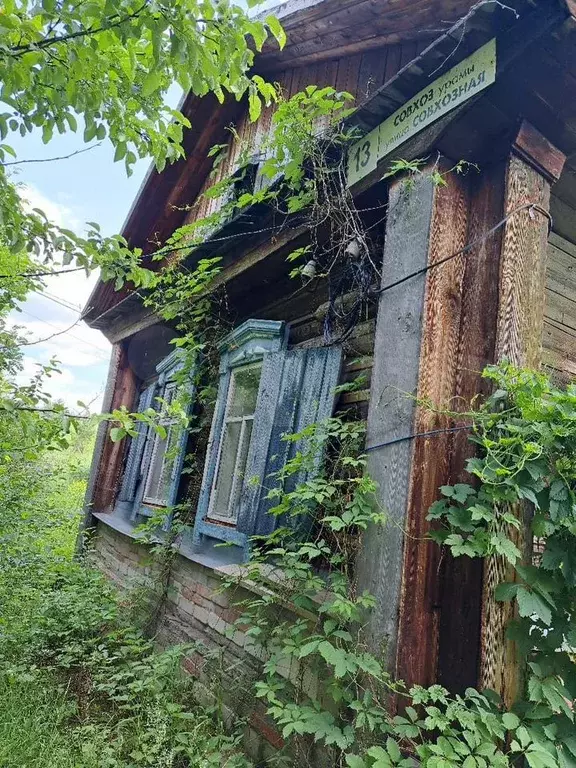 Дом 24 м на участке 21 сот. - Фото 1
