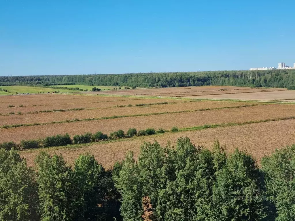 2-к кв. Санкт-Петербург аллея Арцеуловская, 23к1 (56.19 м) - Фото 1