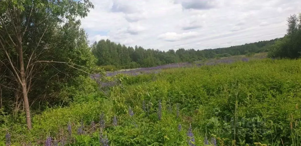 Участок в Нижегородская область, Богородский муниципальный округ, д. ... - Фото 1