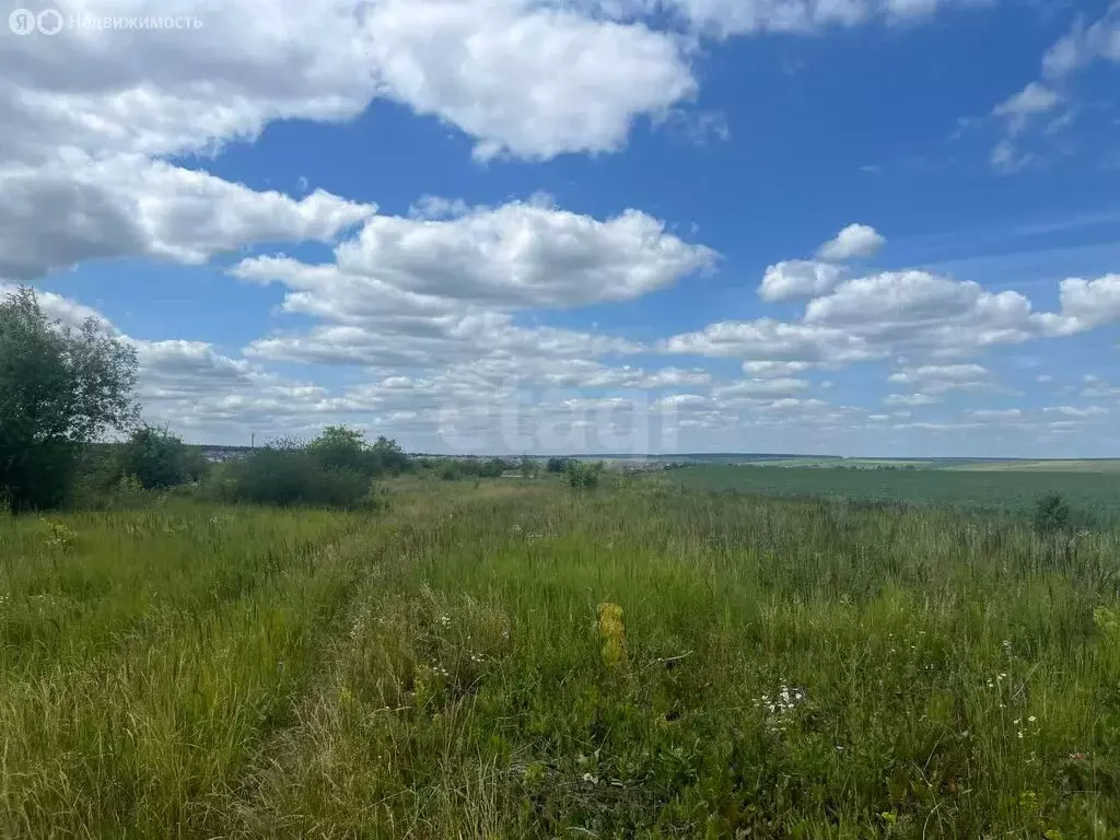Участок в Лямбирский район, Пензятское сельское поселение, село ... - Фото 0