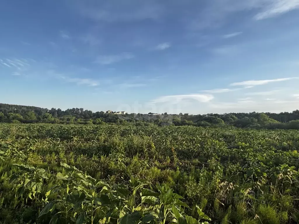 Участок в Воронежская область, Семилукский район, Губаревское с/пос, ... - Фото 1