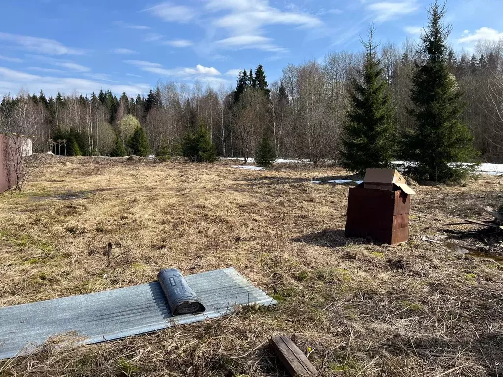 Участок в Московская область, Одинцовский городской округ, с. Локотня  ... - Фото 2