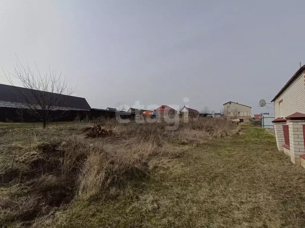 Участок в Белгородская область, Вейделевка рп ул. Зеленая, 5 (15.09 ... - Фото 1