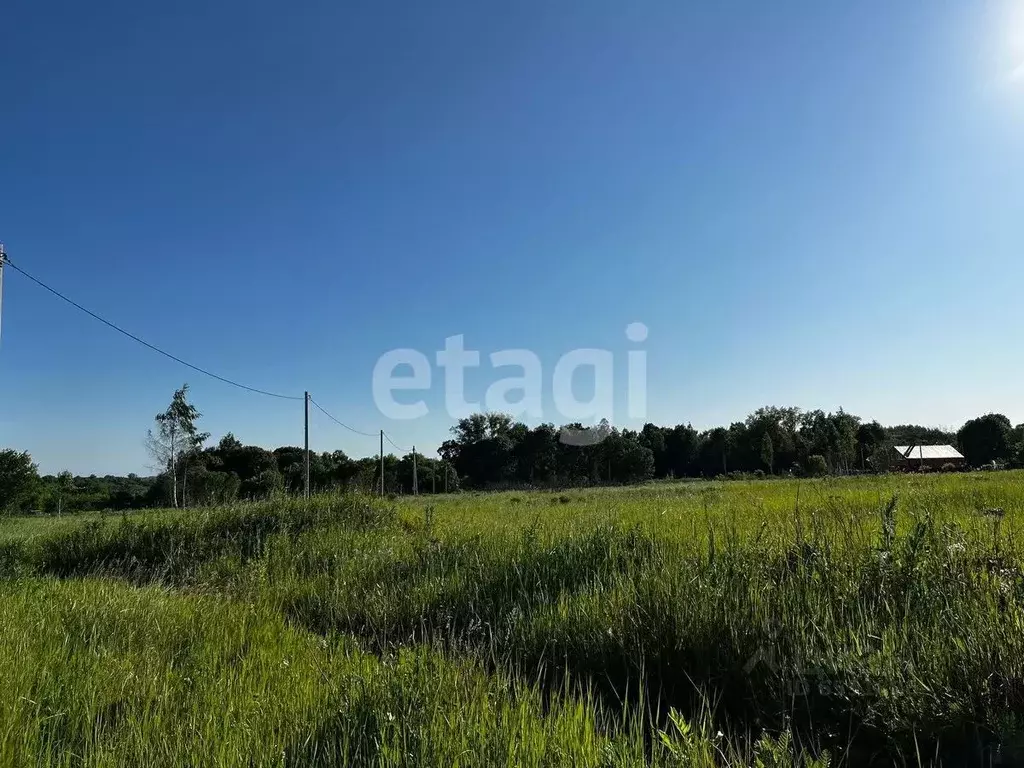 Участок в Тульская область, Ясногорский район, Иваньковское ... - Фото 0