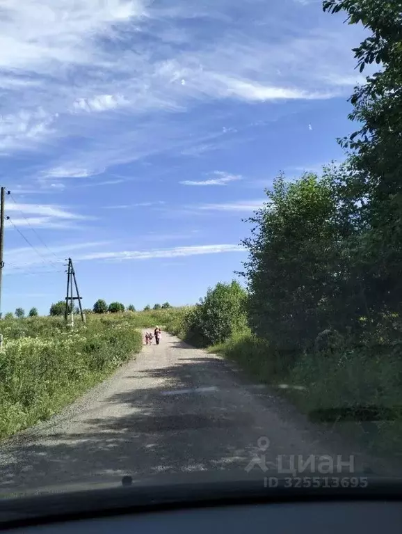 Участок в Пермский край, Пермский муниципальный округ, Урочище Россохи ... - Фото 1