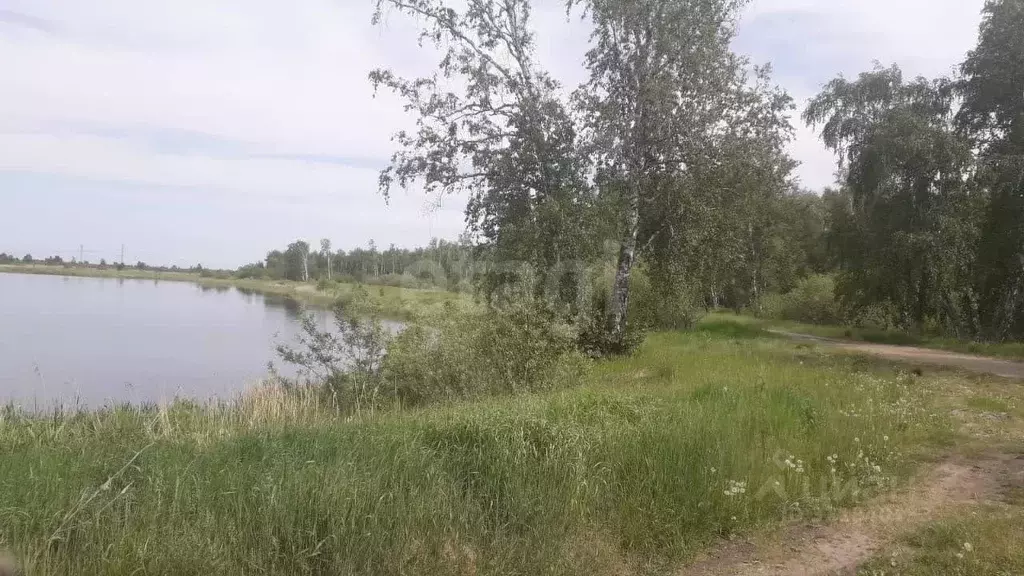 Участок в Тюменская область, Ялуторовский муниципальный округ, ... - Фото 1