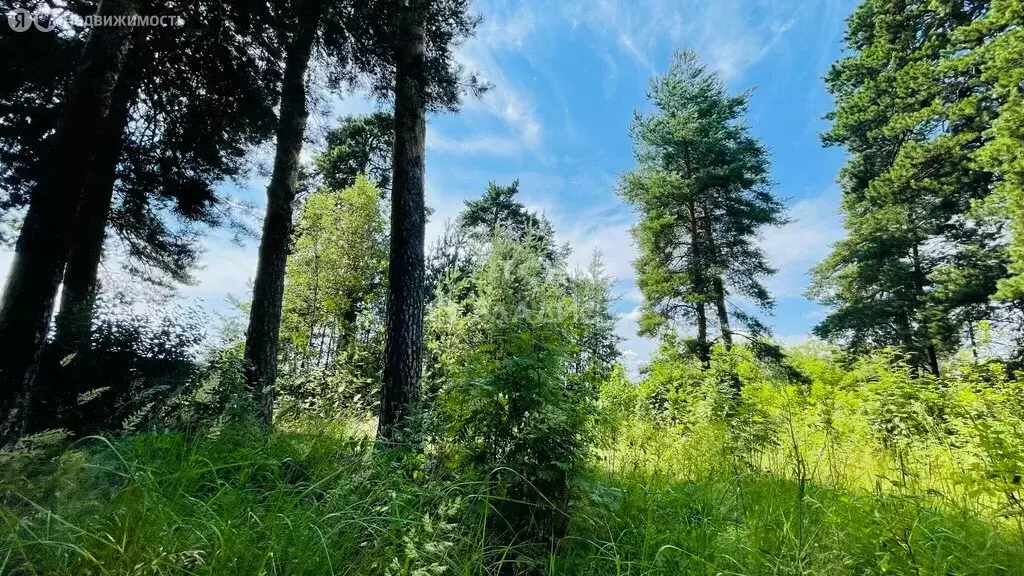 Участок в Ямкино, Украинская улица (12 м) - Фото 0