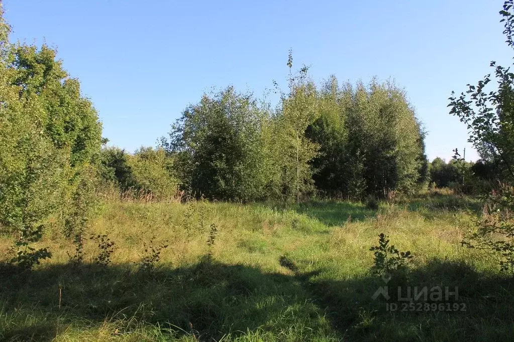 Участок в Псковская область, Гдов городское поселение, д. Бакин Конец  ... - Фото 0